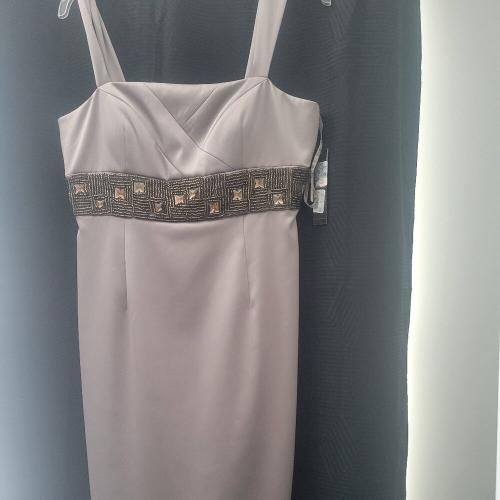 NEW WITH TAGS ANTONIO MELANI Size 6 Taupe Dress